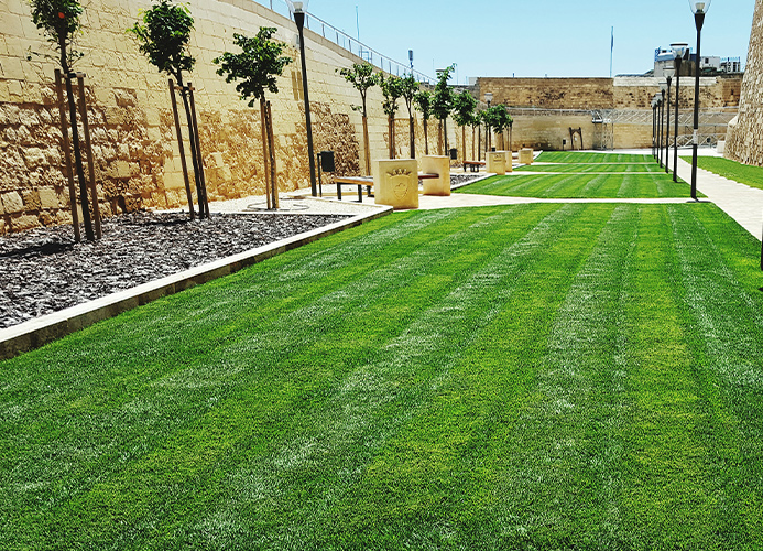 Özel & Ticari Alanlar